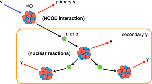 Neutral current quasi-elastic interactions